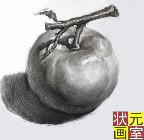 素描静物（1）